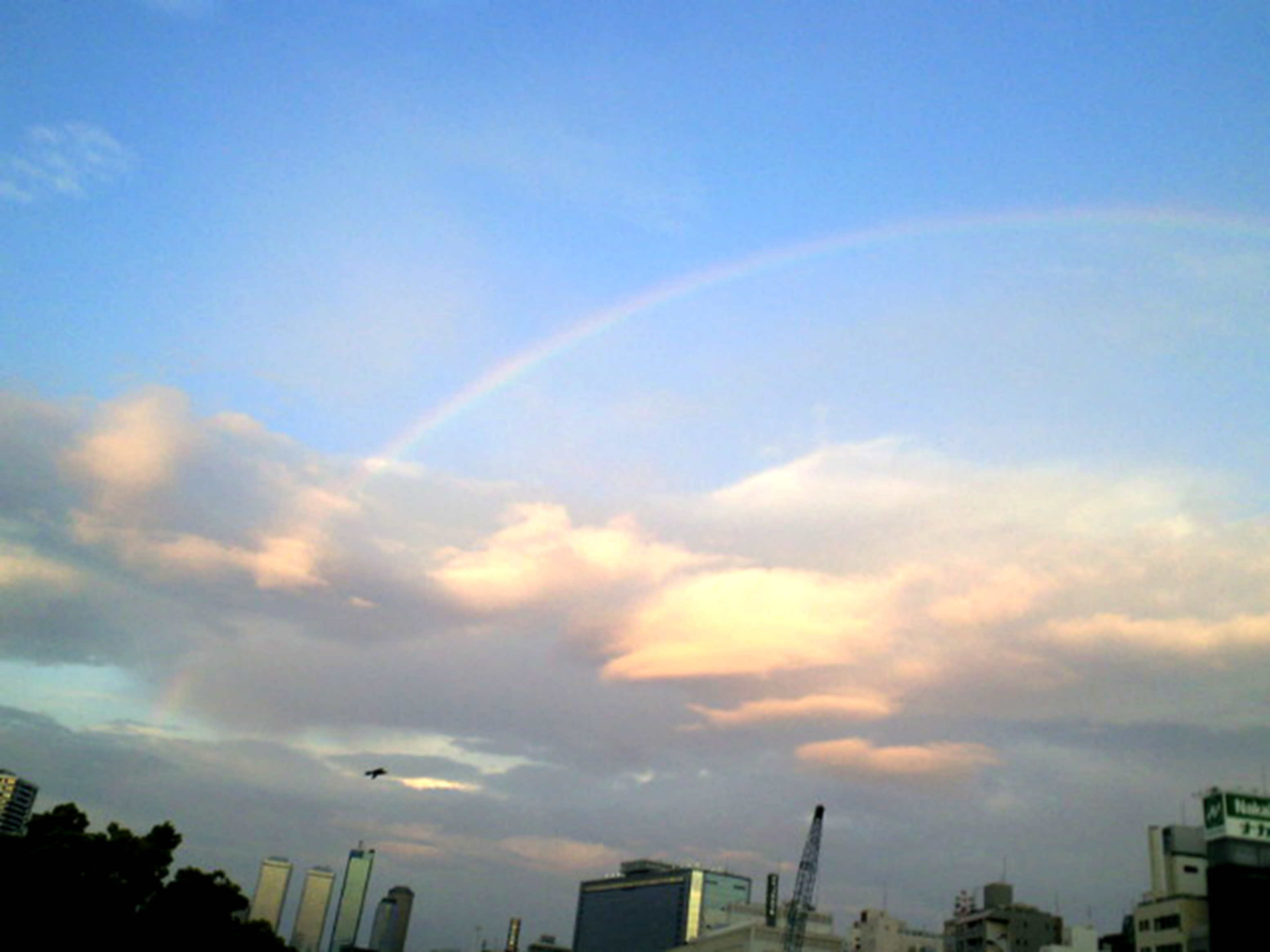 虹in天満