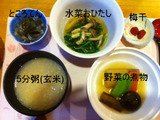 5日目夜