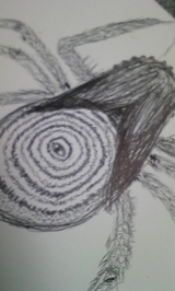 d3118e7f.jpg