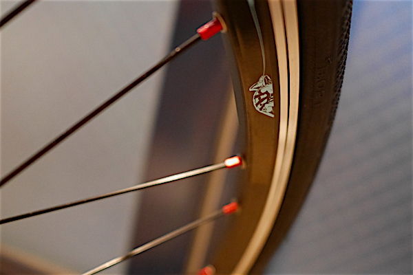 bianchi2