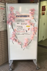 463b8439.jpg