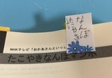 95b75f67.jpg