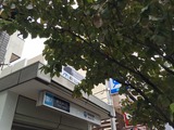 e5171fb3.jpg