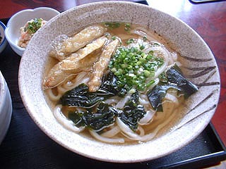 ごぼ天うどん