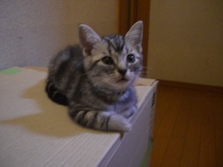 CIMG0007