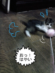 BlogPaint