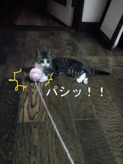 BlogPaint