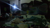 ae5eb317.jpg