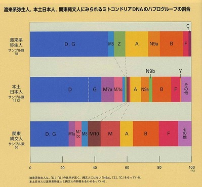 日本人−弥生人ハプログループ