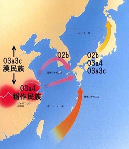 ヒトの拡散弥生時代
