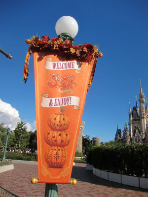 ディズニーハロウィーン2013のオリジナルグッズ : PHOTO日記