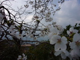 55b61059.jpg