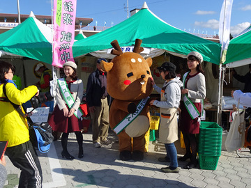 2-DSC02690