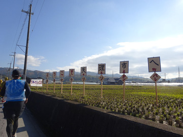 DSC02978