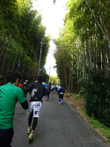 DSC03154