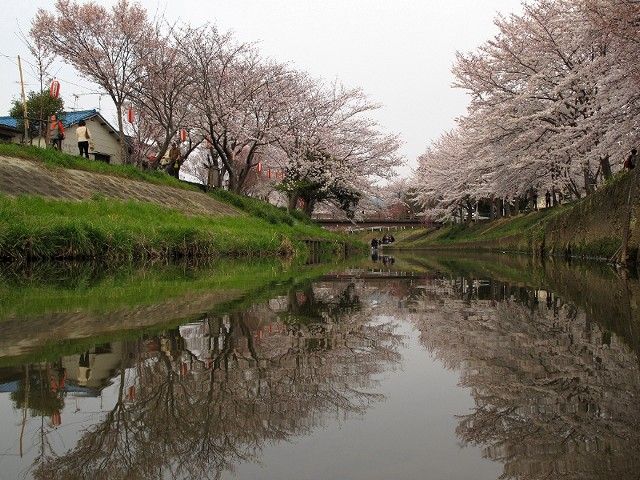 鹿2