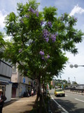 P1010640