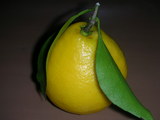 �ܺ�̾ʪ������