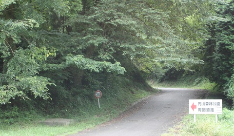 円山森林公園