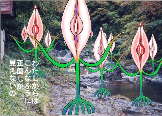 91、宮城県湯ノ倉温泉 湯栄館7