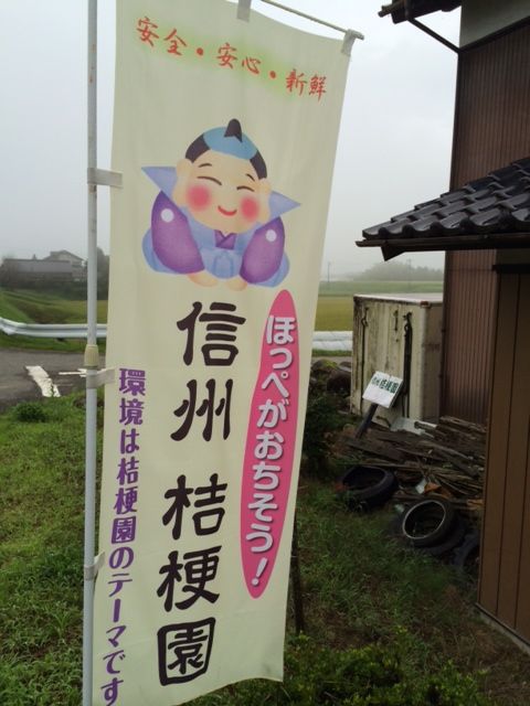 140828 長野県22