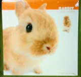 ɡ�Ǥ����꡼��