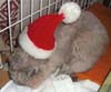 071224_xmas