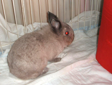 �ȥ�ͥ�