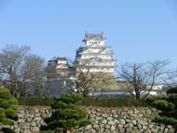 CIMG4553