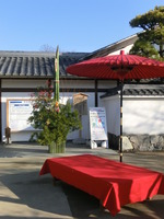 CIMG4556