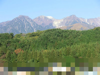 BlogPaint