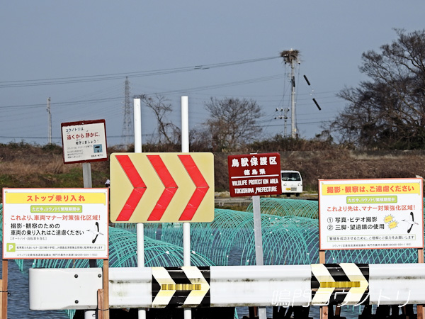 鳴門コウノトリ 自粛看板 2016年3月17日 徳島県鳴門市大麻町