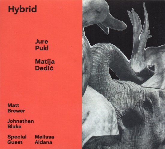 Jure Pukl, Matija Dedić / Hybrid