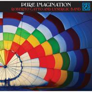 Roberto Gatto and Lysergic Band / Pure Imagination (J)