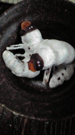 20100923114217