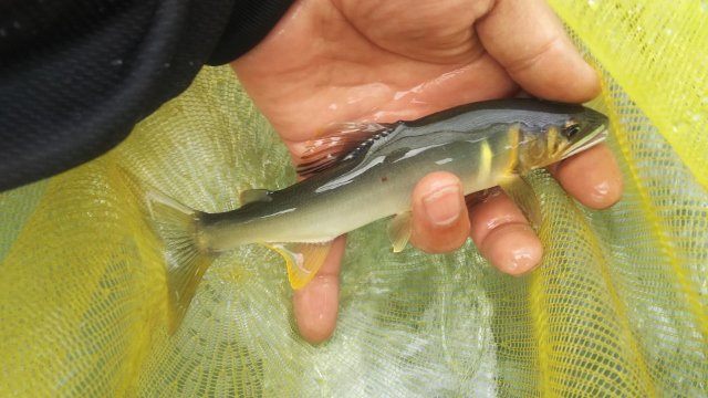 DSC_0028 (640x360)
