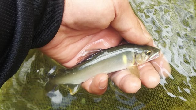 DSC_0024 (640x359)