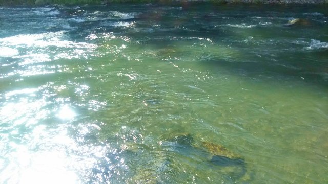 DSC_0021 (640x360)