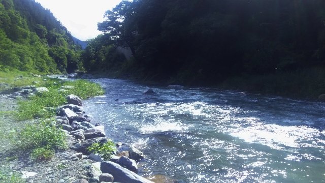 DSC_0019 (640x360)