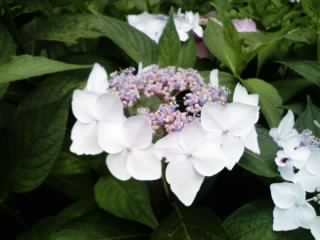 image036