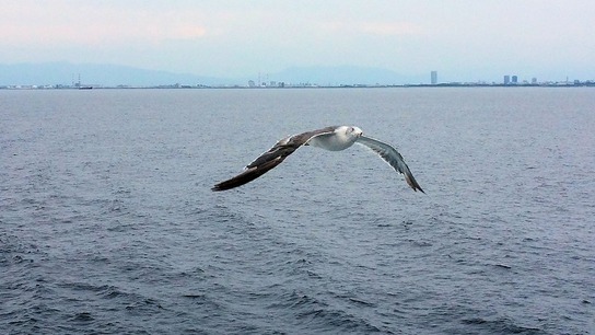 tokiwa-maru