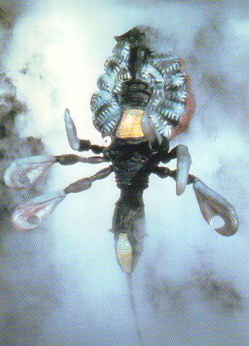 昆虫宇宙人説って聞いたことがあります ...