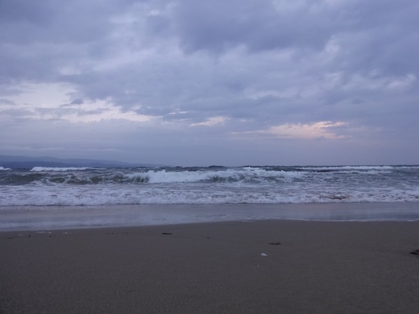 DSC01137