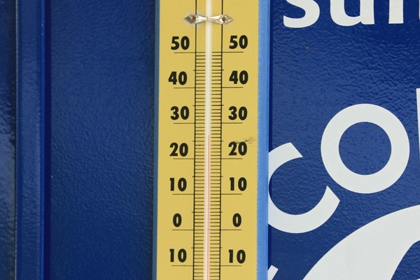 8Z0A0310