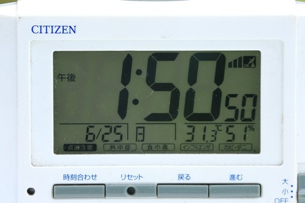 8Z0A3603