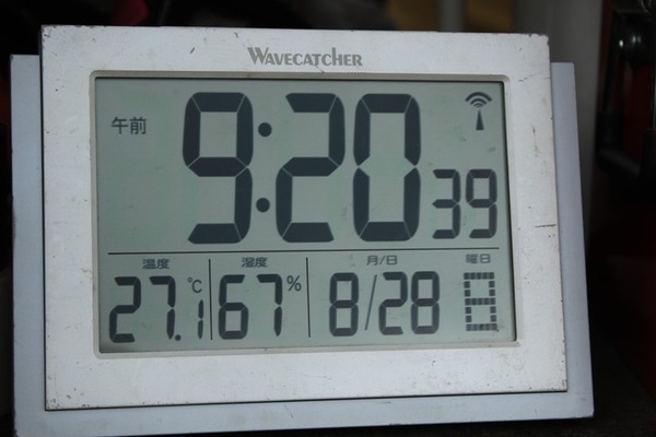 8Z0A0599