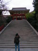 鶴岡八幡宮