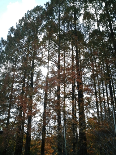 P1000008_R