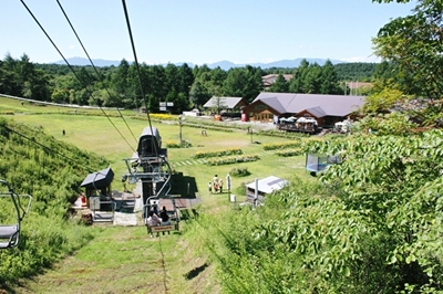 3b7204cb.jpg