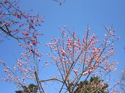 IMG_2781_R